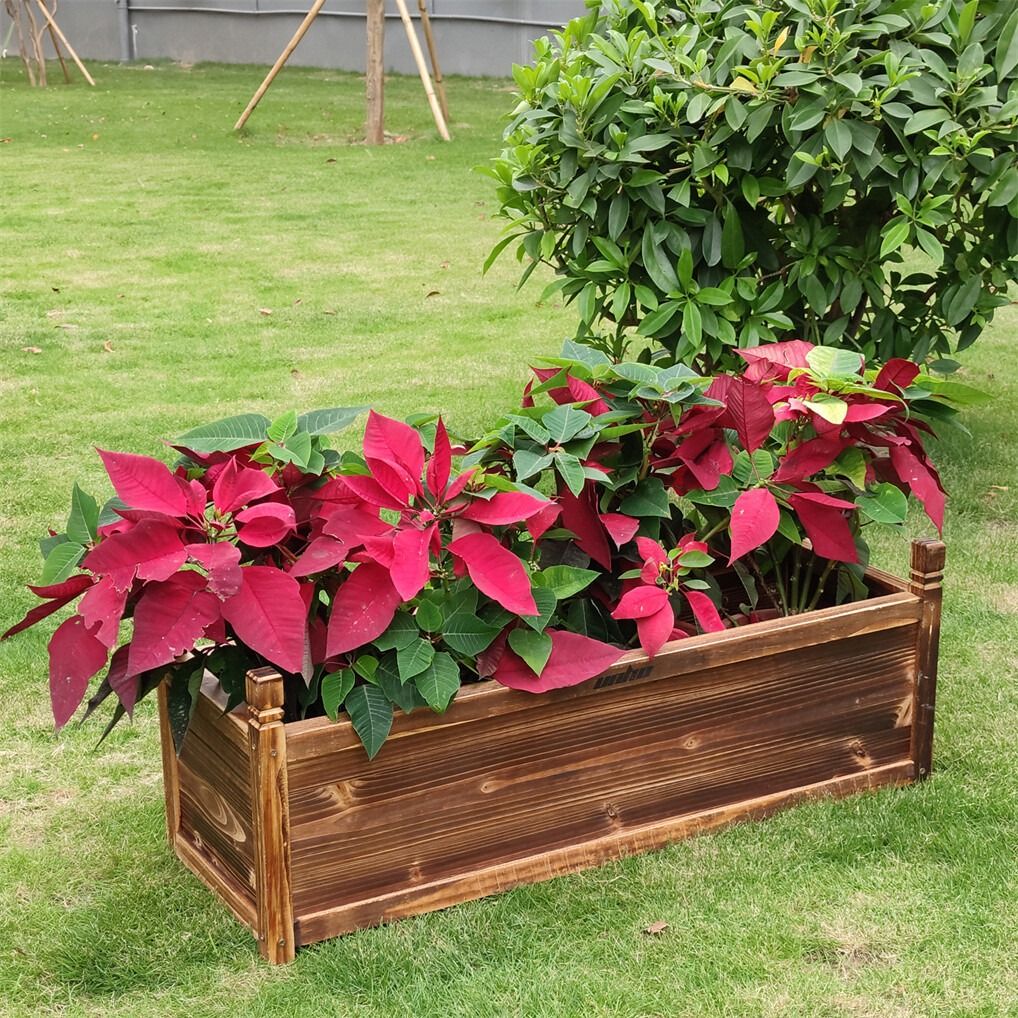 Medium Raised Garden Bed 60x30x33cm Wooden Planter Box - Home & Garden > Garden Beds > Garden Beds & Planters - Rivercity House & Home Co. (ABN 18 642 972 209) - Affordable Modern Furniture Australia