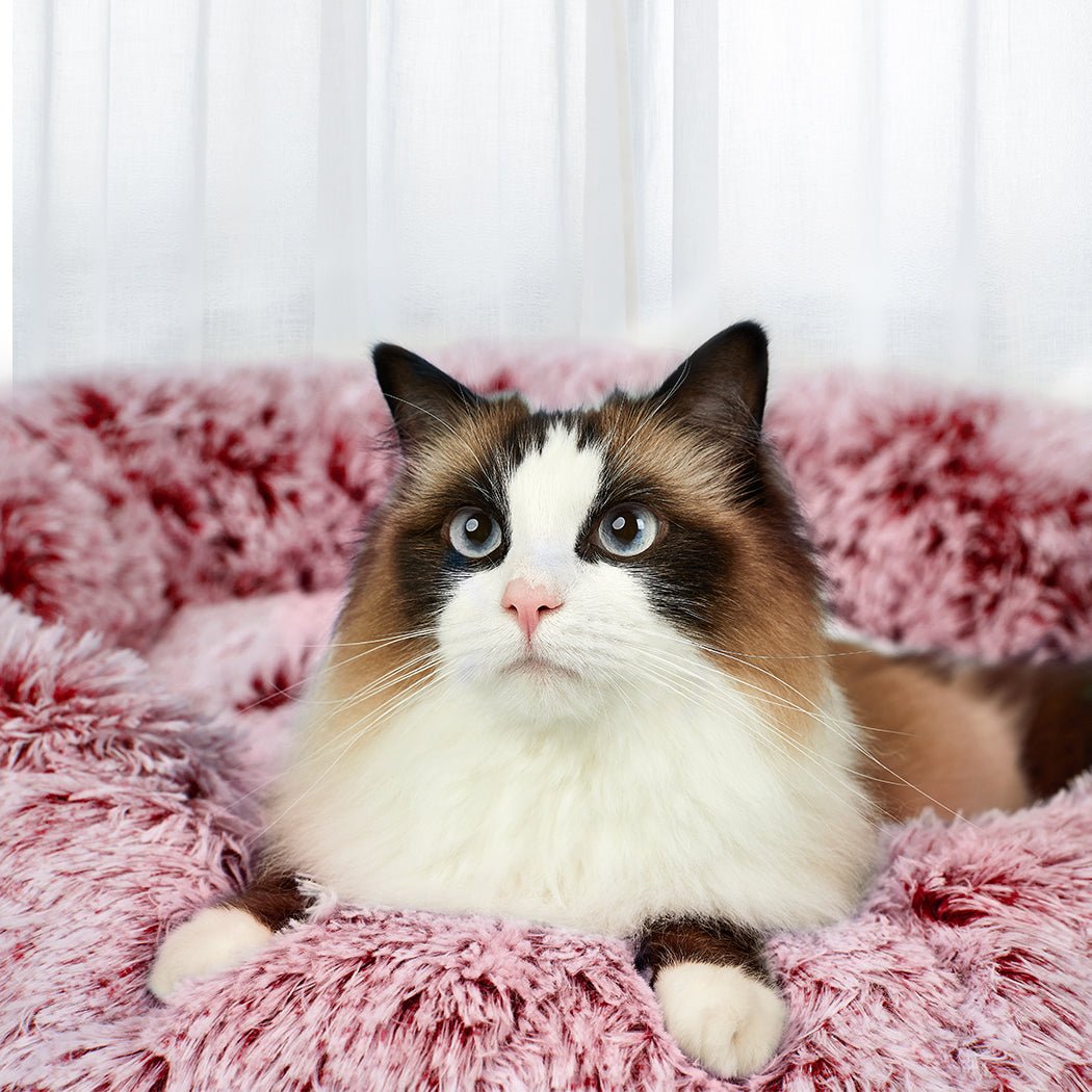 Memory Foam Dog Donut Pet Bed X - Large - Pink - Rivercity House & Home Co. (ABN 18 642 972 209) - Affordable Modern Furniture Australia