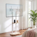 Mobile TV Floor Stand 40-75" with Adjustable Shelves and Wheels