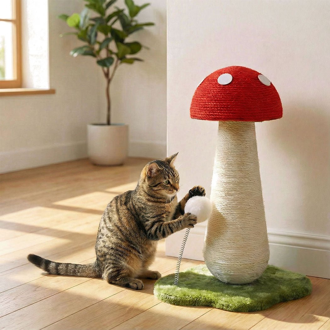 Mushroom Cat Scratching Post with Sisal Rope and Plush Ball - Red White Green - Rivercity House & Home Co. (ABN 18 642 972 209) - Affordable Modern Furniture Australia