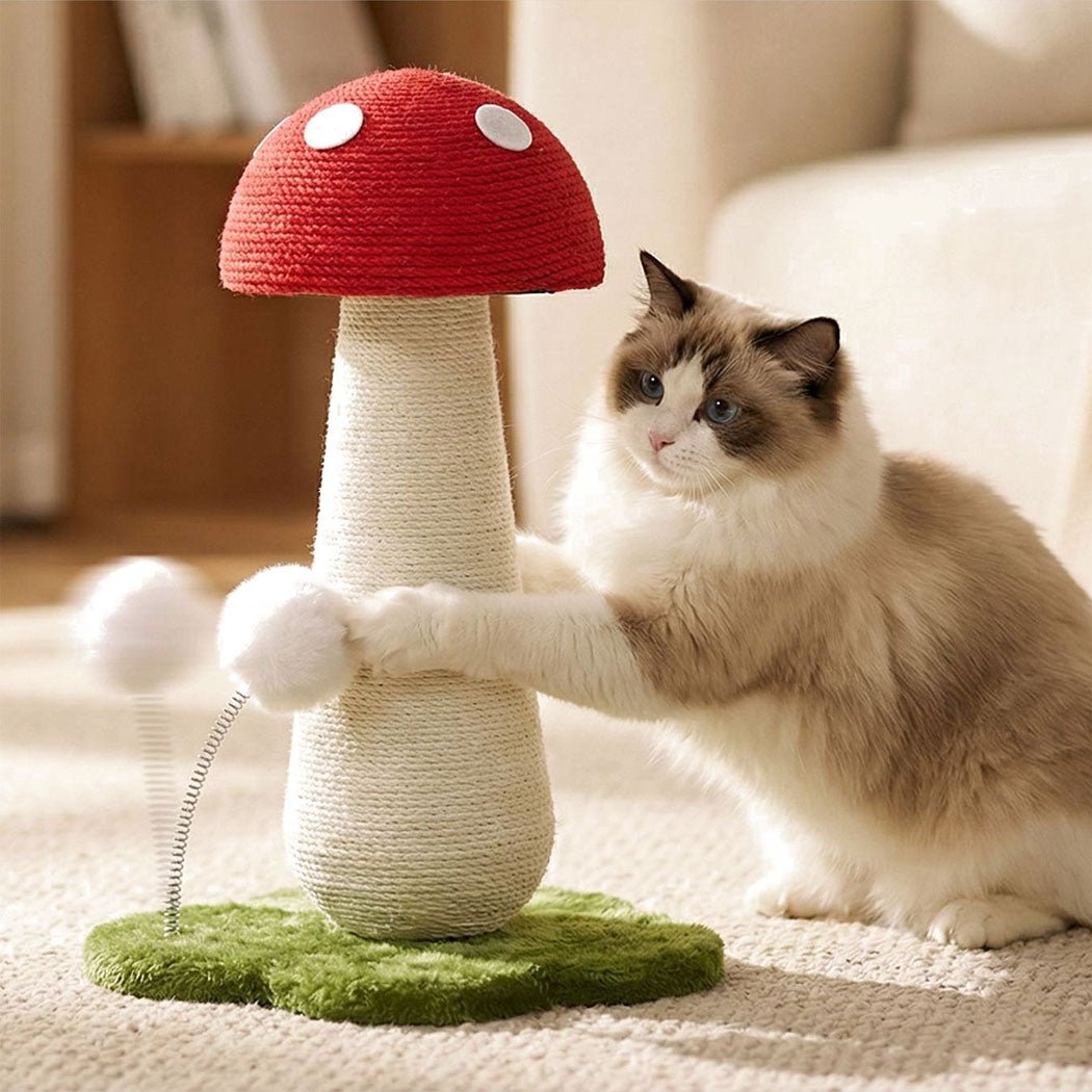 Mushroom Cat Scratching Post with Sisal Rope and Plush Ball - Red White Green - Rivercity House & Home Co. (ABN 18 642 972 209) - Affordable Modern Furniture Australia