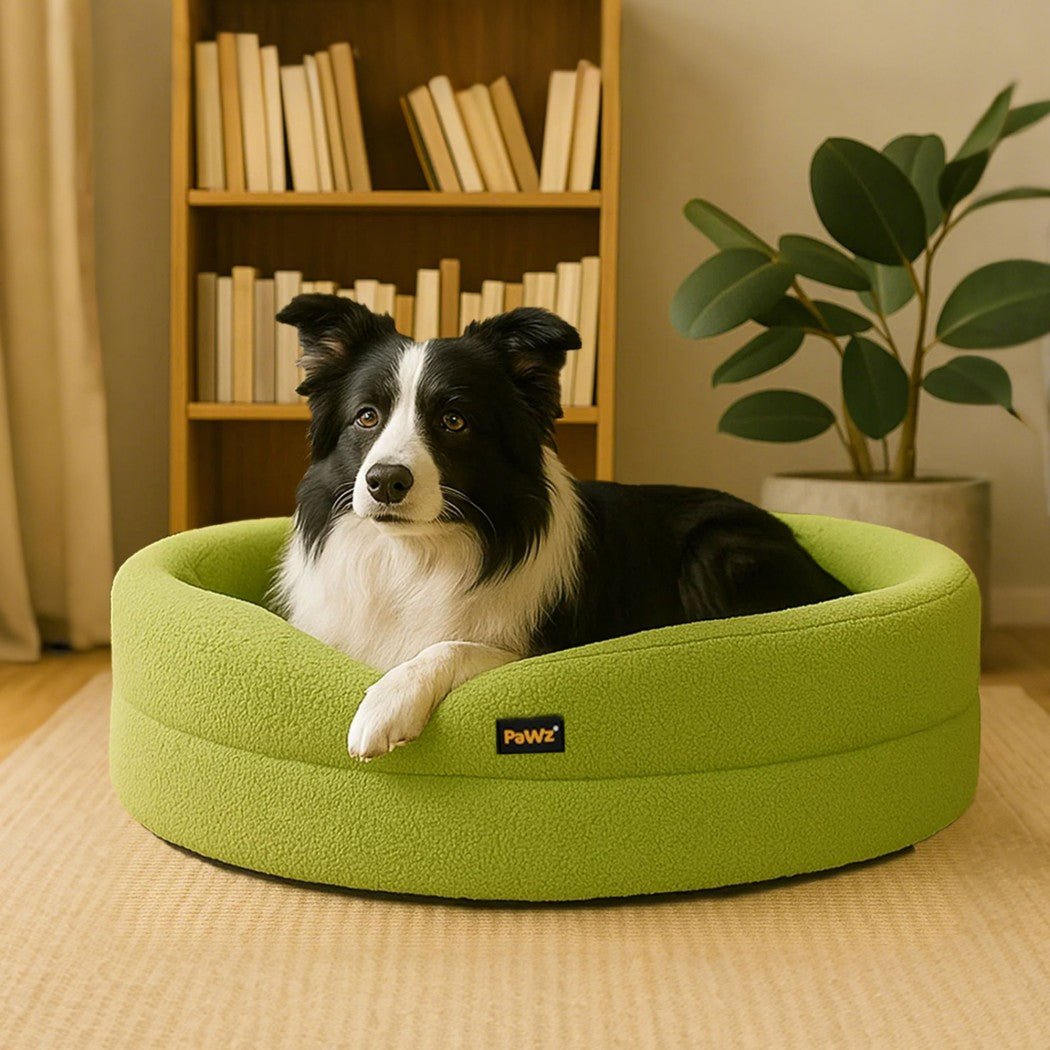 Orthopedic Memory Foam Calming Dog Bed with Bolstered Sides - Green - Rivercity House & Home Co. (ABN 18 642 972 209) - Affordable Modern Furniture Australia