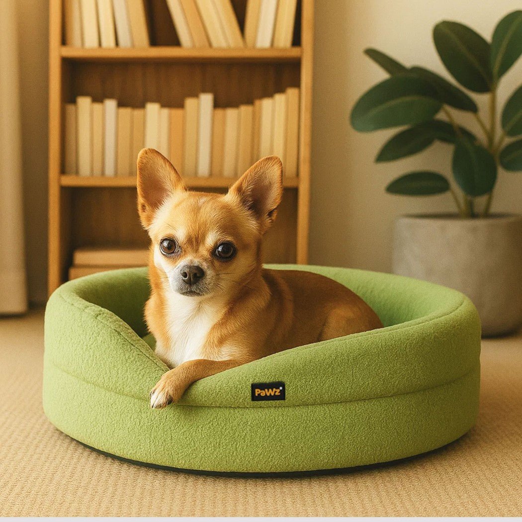 Orthopedic Memory Foam Calming Dog Bed with Bolstered Sides - Green - Rivercity House & Home Co. (ABN 18 642 972 209) - Affordable Modern Furniture Australia