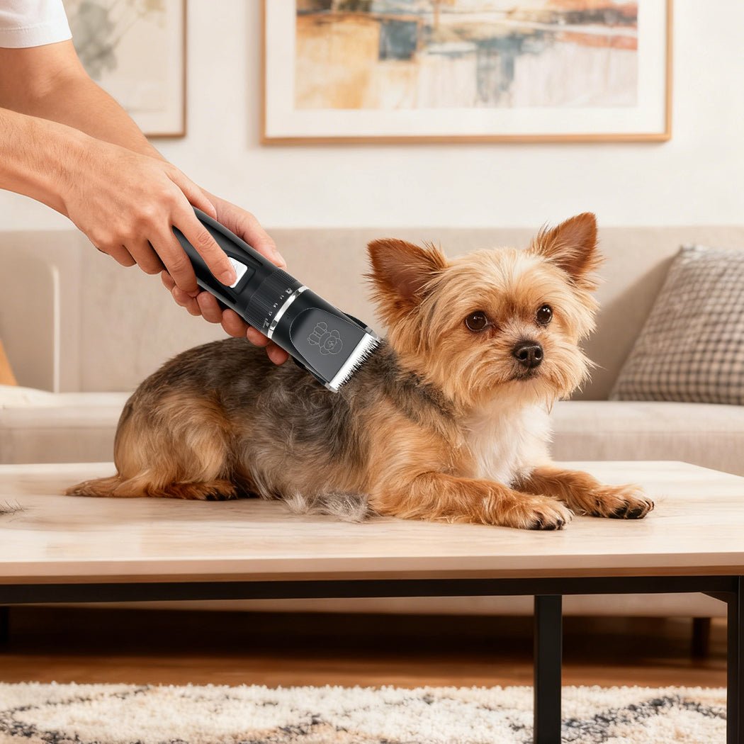 Pet Clipper Grooming Trimmer Shaver Kit for Cat and Dog - Rivercity House & Home Co. (ABN 18 642 972 209) - Affordable Modern Furniture Australia