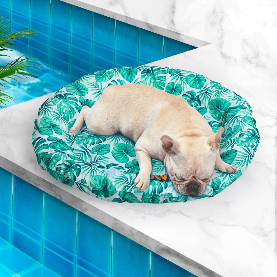 Pet Cooling Gel Mat with Bolster Large for Cats and Dogs - Blue - Rivercity House & Home Co. (ABN 18 642 972 209) - Affordable Modern Furniture Australia