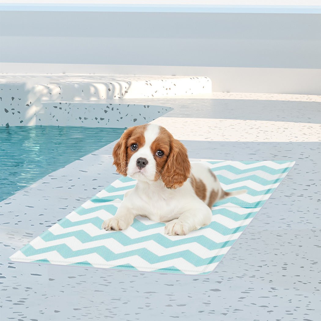Pet Cooling Mat 40x50cm Foldable Breathable - Blue - Rivercity House & Home Co. (ABN 18 642 972 209) - Affordable Modern Furniture Australia
