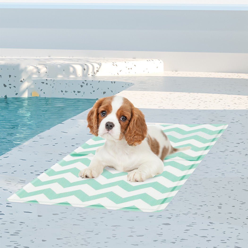 Pet Cooling Mat 40x50cm with Textured Surface - Green - Rivercity House & Home Co. (ABN 18 642 972 209) - Affordable Modern Furniture Australia