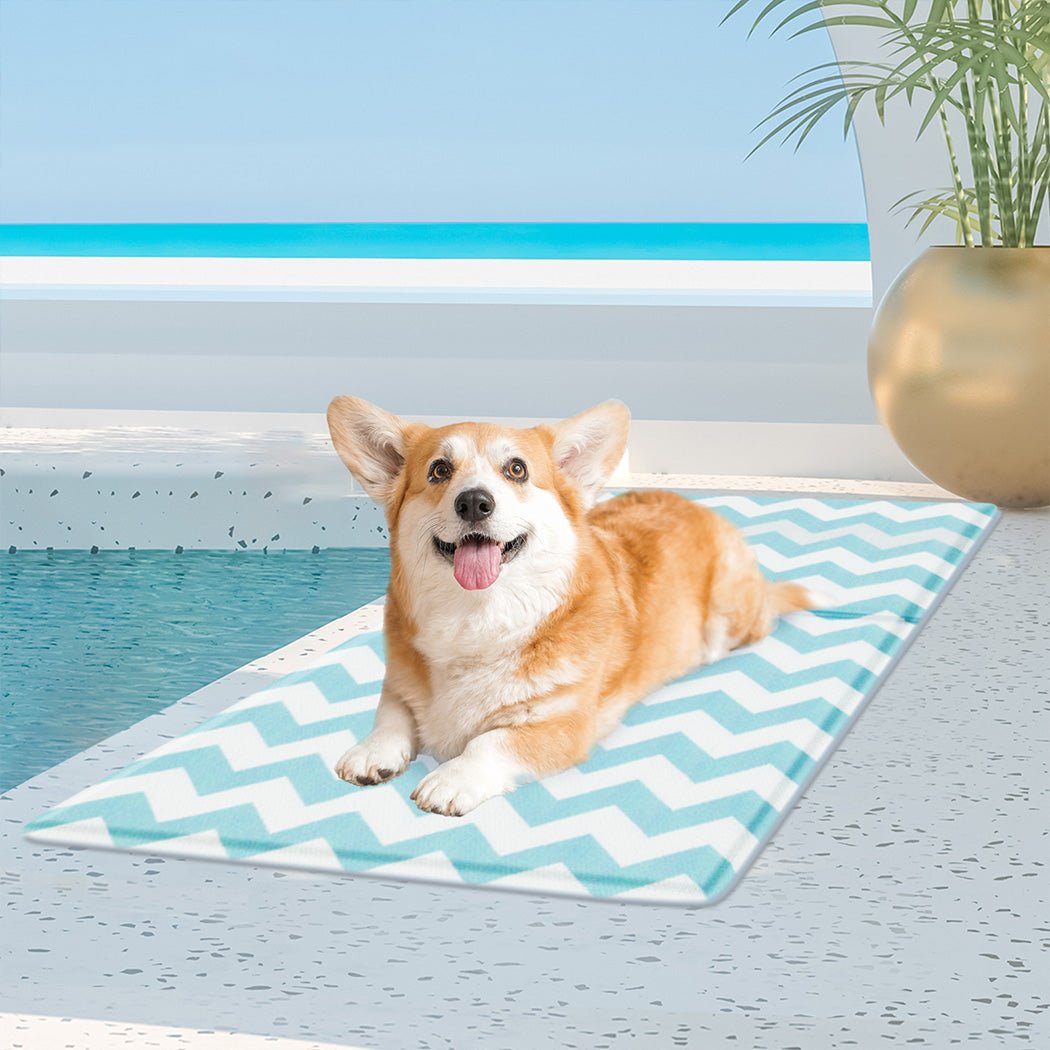 Pet Cooling Mat 50x65cm with Textured Surface - Blue - Rivercity House & Home Co. (ABN 18 642 972 209) - Affordable Modern Furniture Australia