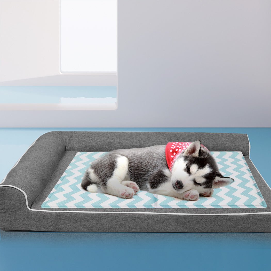 Pet Cooling Mat 50x65cm with Textured Surface - Blue - Rivercity House & Home Co. (ABN 18 642 972 209) - Affordable Modern Furniture Australia