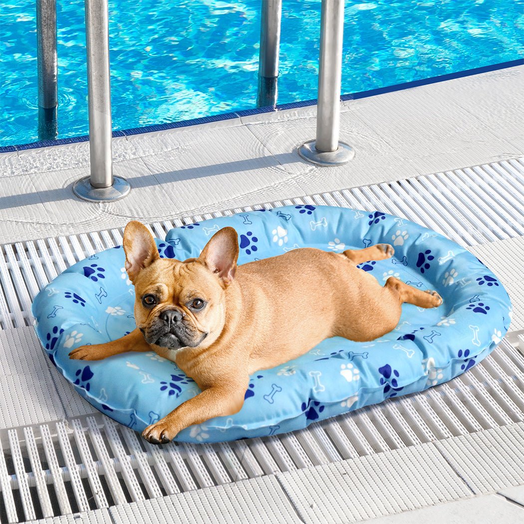 Pet Cooling Mat S - Blue - Rivercity House & Home Co. (ABN 18 642 972 209) - Affordable Modern Furniture Australia