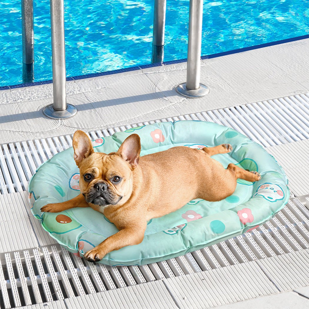 Pet Cooling Mat S - Green - Rivercity House & Home Co. (ABN 18 642 972 209) - Affordable Modern Furniture Australia