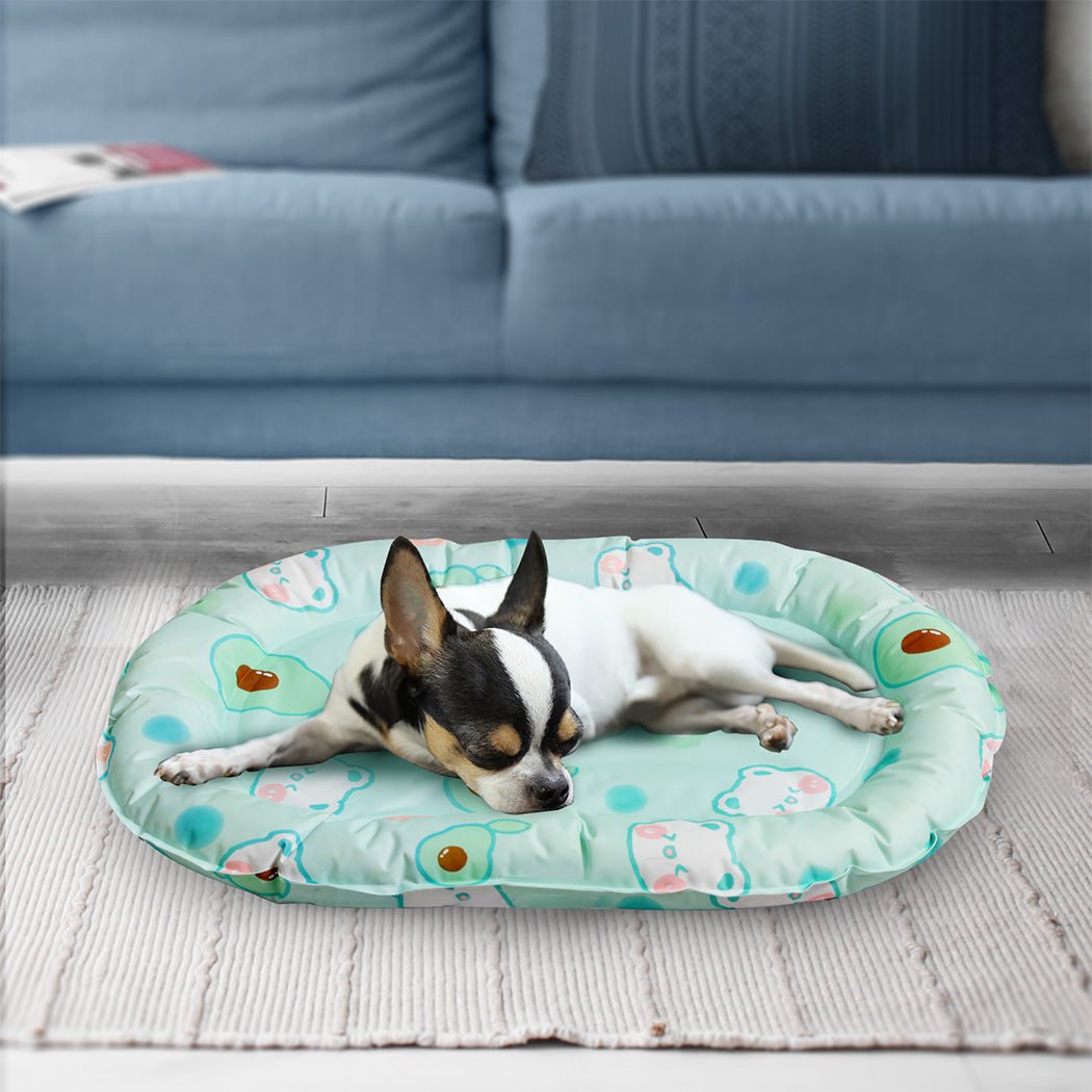 Pet Cooling Mat S - Green - Rivercity House & Home Co. (ABN 18 642 972 209) - Affordable Modern Furniture Australia
