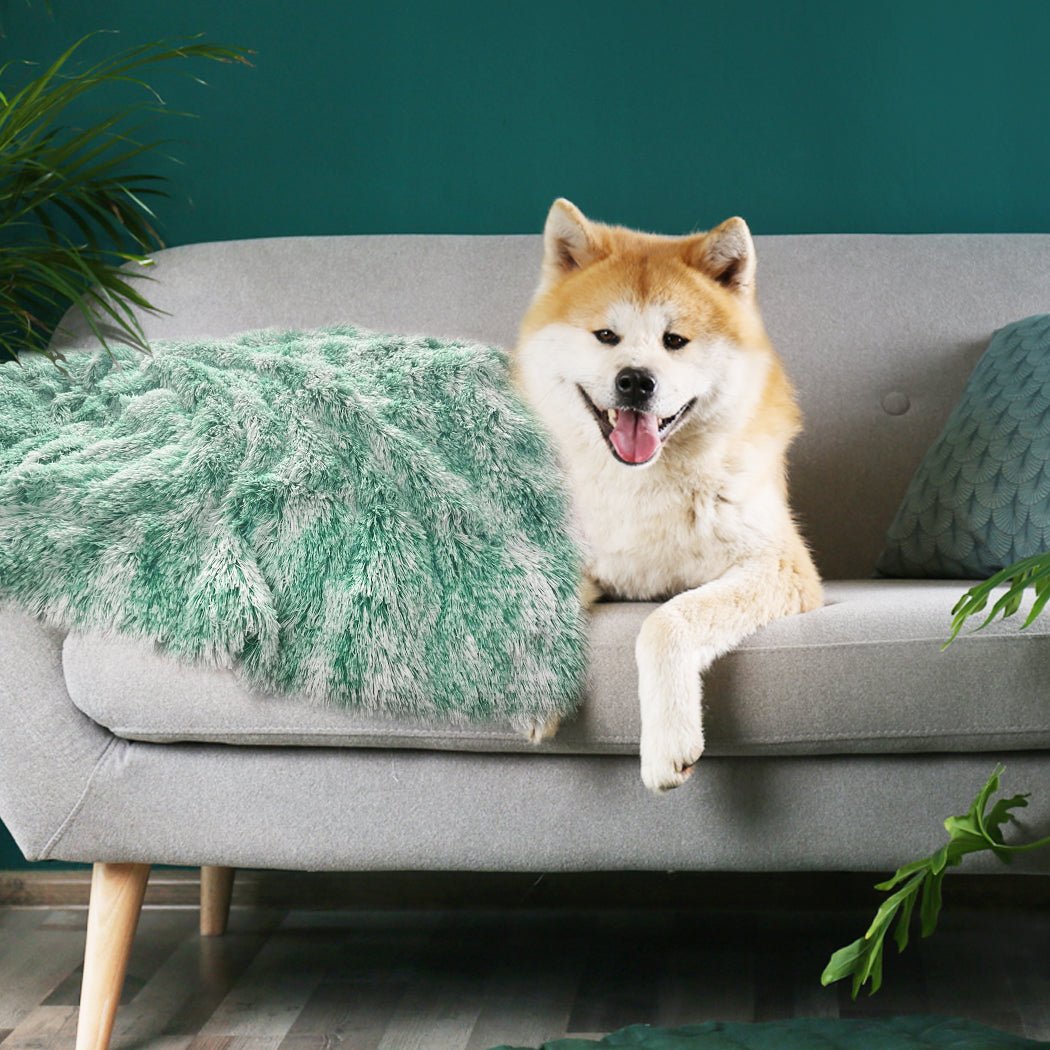 Pet Dog and Cat Blanket Mat - Teal - Rivercity House & Home Co. (ABN 18 642 972 209) - Affordable Modern Furniture Australia