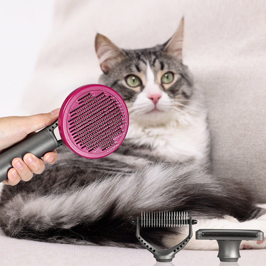 Pet Grooming Kit with 3 Tools and One - Click Cleaning - Black - Rivercity House & Home Co. (ABN 18 642 972 209) - Affordable Modern Furniture Australia