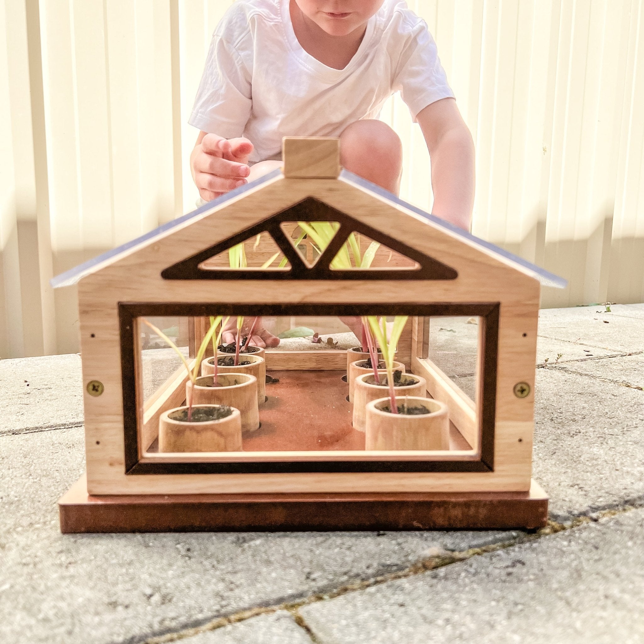 Plant More Trees Greenhouse - Home & Garden > Greenhouses > Greenhouses & Accessories - Rivercity House & Home Co. (ABN 18 642 972 209) - Affordable Modern Furniture Australia