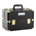 Portable Cosmetic Makeup Case with Organiser and Lock - Black & Gold