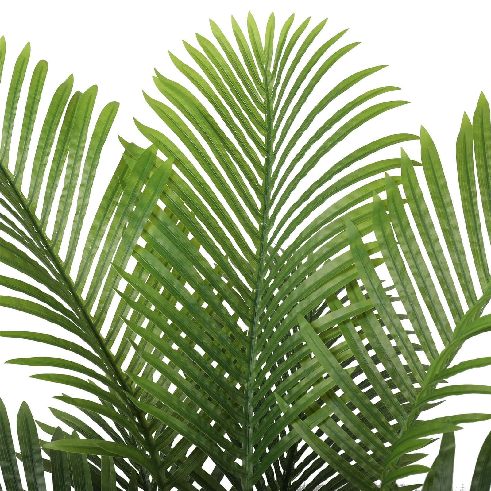 Premium Artificial Areca Palm Tree Real Touch 160cm - Home & Garden > Artificial Plants > Artificial Trees - Rivercity House & Home Co. (ABN 18 642 972 209) - Affordable Modern Furniture Australia