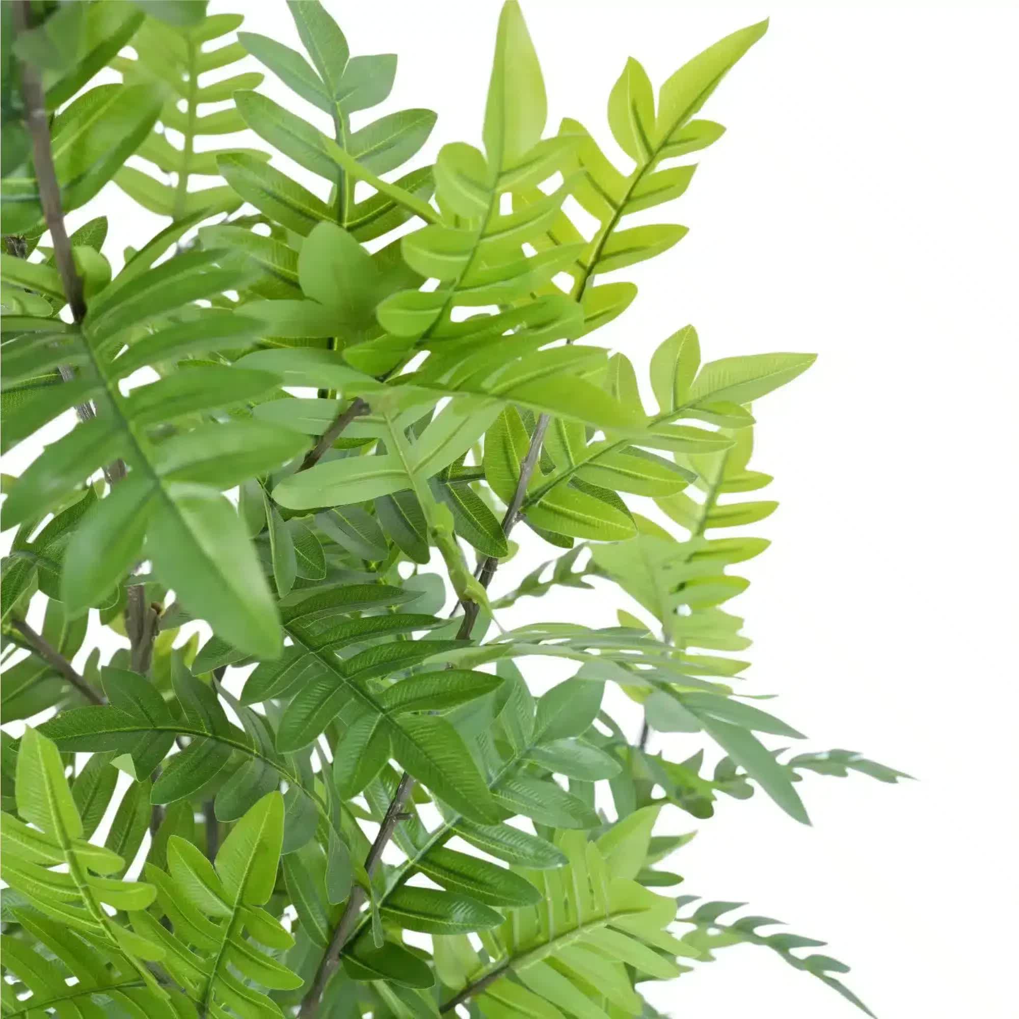 Premium Real Touch Artificial Bracken Palm Tree 180cm - Home & Garden > Artificial Plants > Artificial Trees - Rivercity House & Home Co. (ABN 18 642 972 209) - Affordable Modern Furniture Australia
