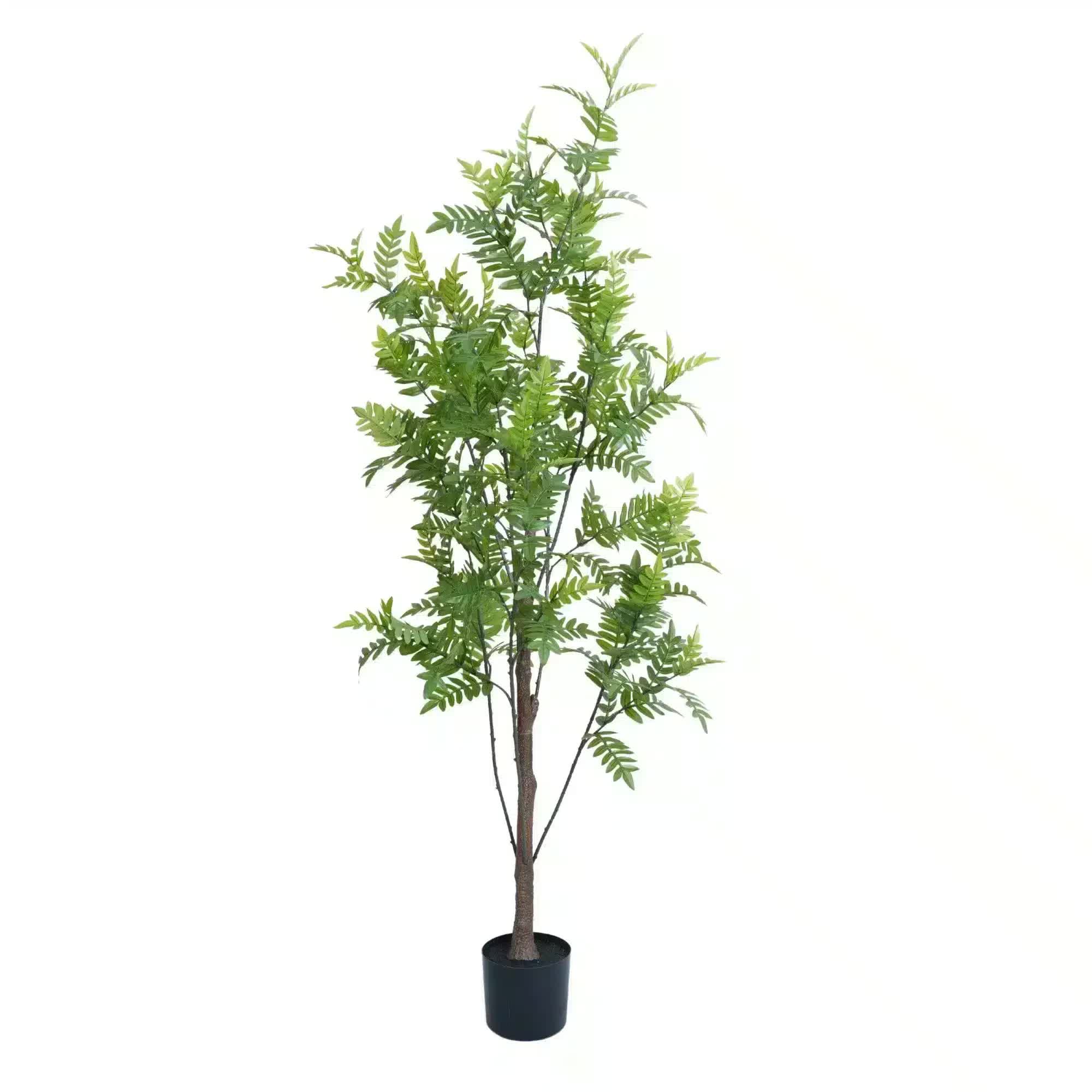 Premium Real Touch Artificial Bracken Palm Tree 180cm - Home & Garden > Artificial Plants > Artificial Trees - Rivercity House & Home Co. (ABN 18 642 972 209) - Affordable Modern Furniture Australia