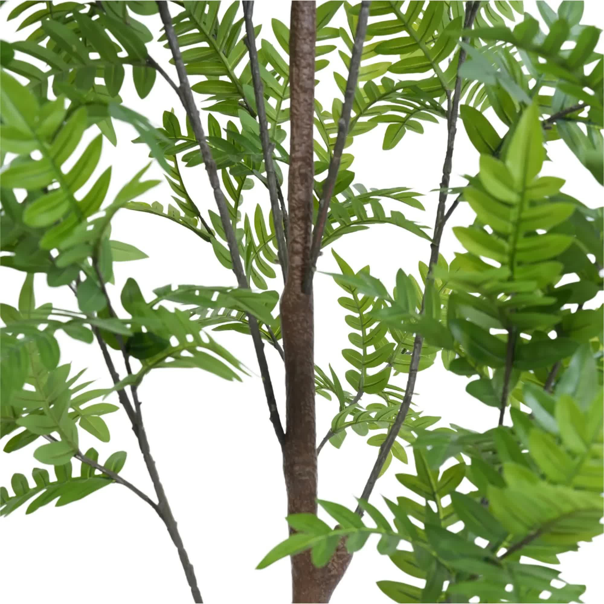 Premium Real Touch Artificial Bracken Palm Tree 180cm - Home & Garden > Artificial Plants > Artificial Trees - Rivercity House & Home Co. (ABN 18 642 972 209) - Affordable Modern Furniture Australia