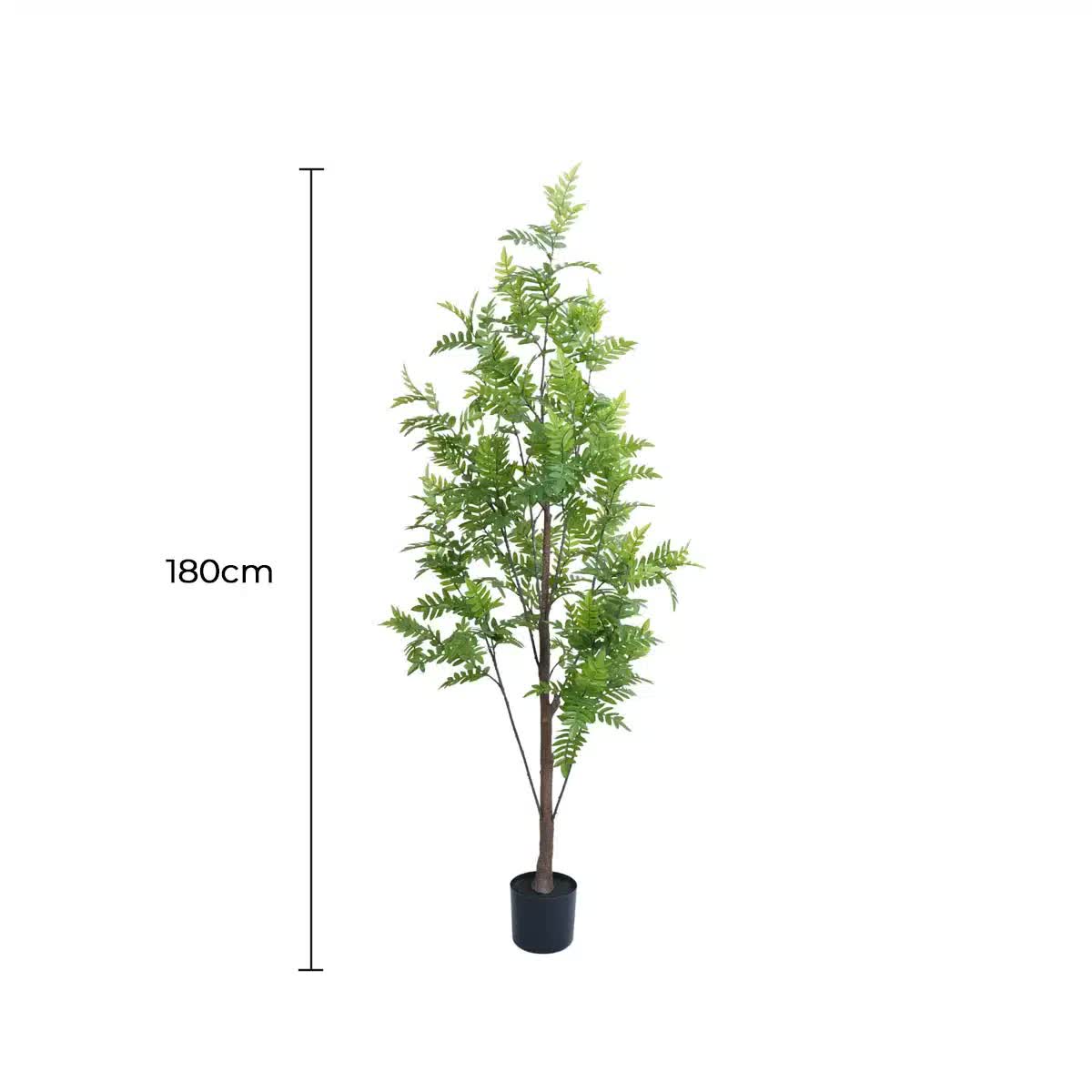 Premium Real Touch Artificial Bracken Palm Tree 180cm - Home & Garden > Artificial Plants > Artificial Trees - Rivercity House & Home Co. (ABN 18 642 972 209) - Affordable Modern Furniture Australia