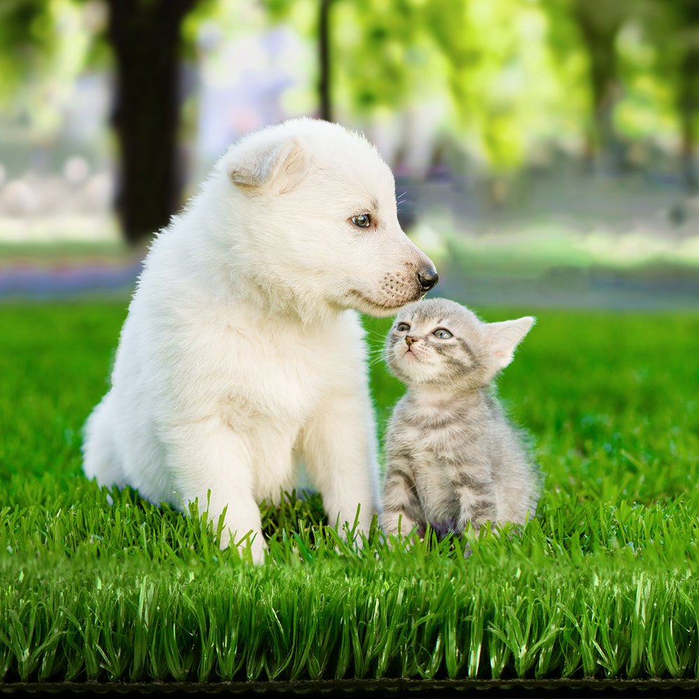 Primeturf Synthetic 10mm 1.9mx10m 19sqm Artificial Grass Fake Turf Olive Plants Plastic Lawn - Rivercity House & Home Co. (ABN 18 642 972 209) - Affordable Modern Furniture Australia