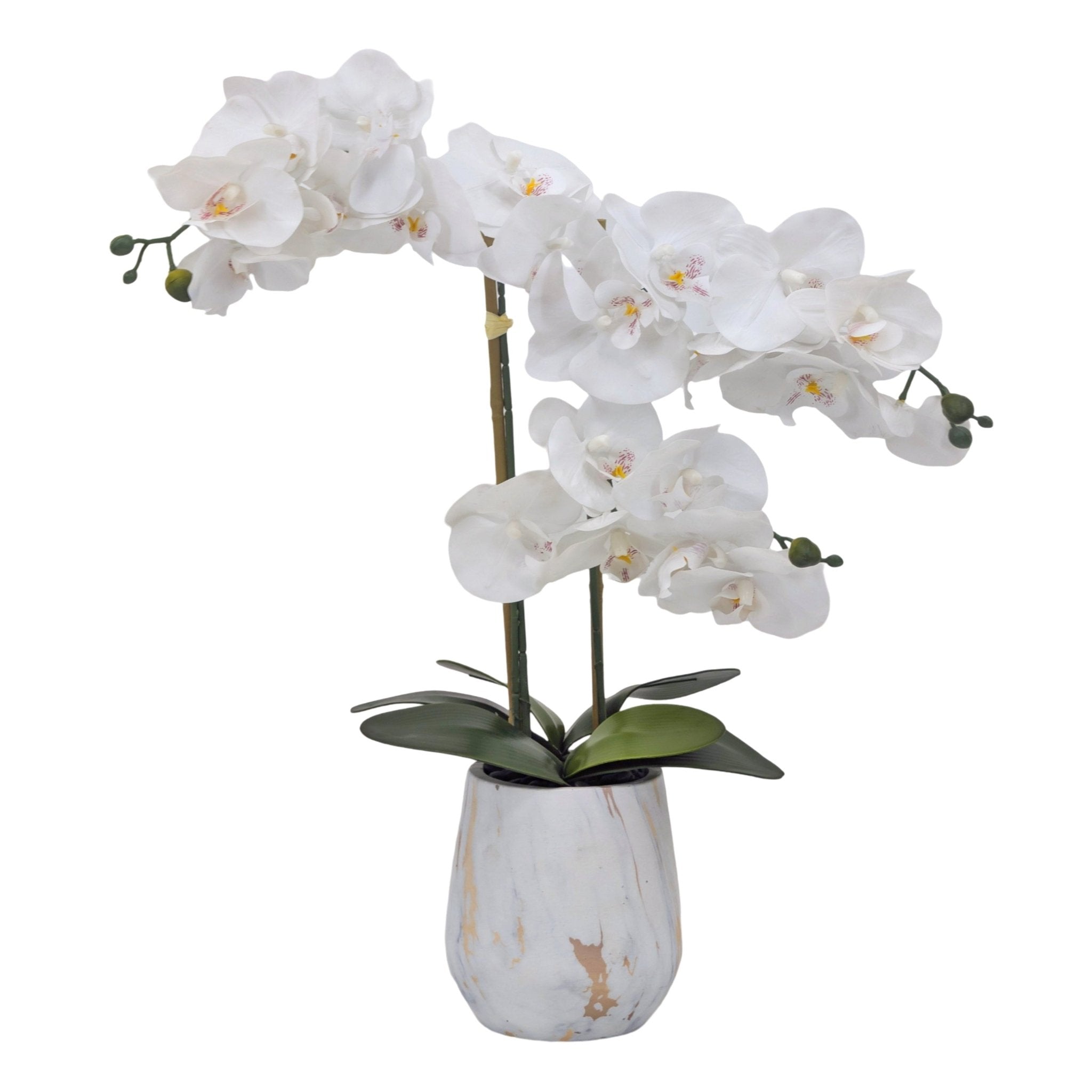 Real Touch Artificial Orchid Pot 55cm - Home & Garden > Artificial Plants > Artificial Flowers & Plants - Rivercity House & Home Co. (ABN 18 642 972 209) - Affordable Modern Furniture Australia