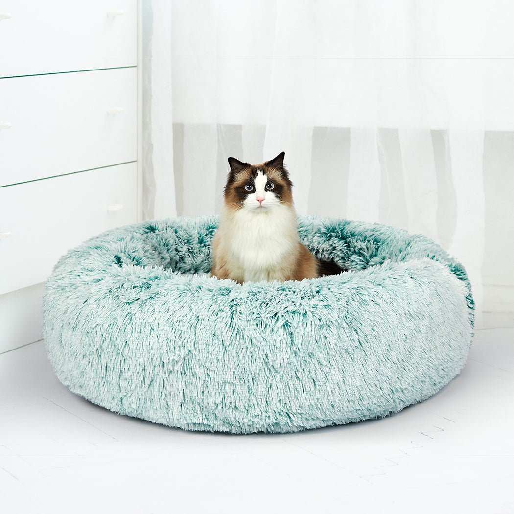 Replaceable Medium Dog Calming Bed Cover - Teal - Rivercity House & Home Co. (ABN 18 642 972 209) - Affordable Modern Furniture Australia
