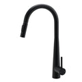 Round Matte Black Pull Out Kitchen Sink Mixer Tap with 2-Way Spout - Black