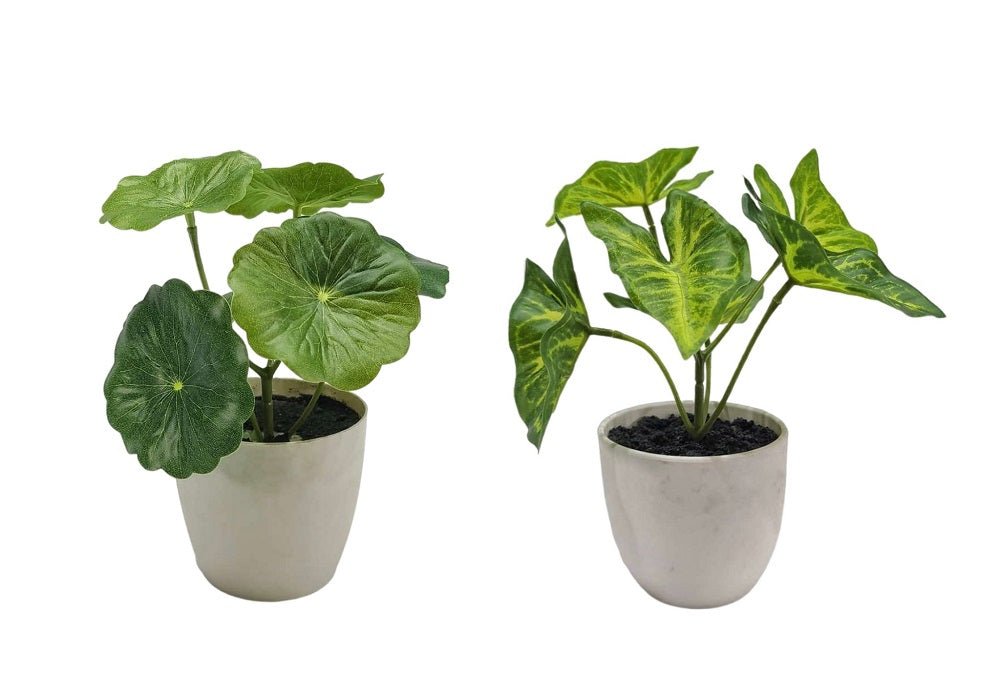 Set of 2 Artificial Taro & Lotus Plants in Plastic Pots 7x15cm - Multi Colour - Home & Garden > Artificial Plants > Artificial Potted Plants - Rivercity House & Home Co. (ABN 18 642 972 209) - Affordable Modern Furniture Australia