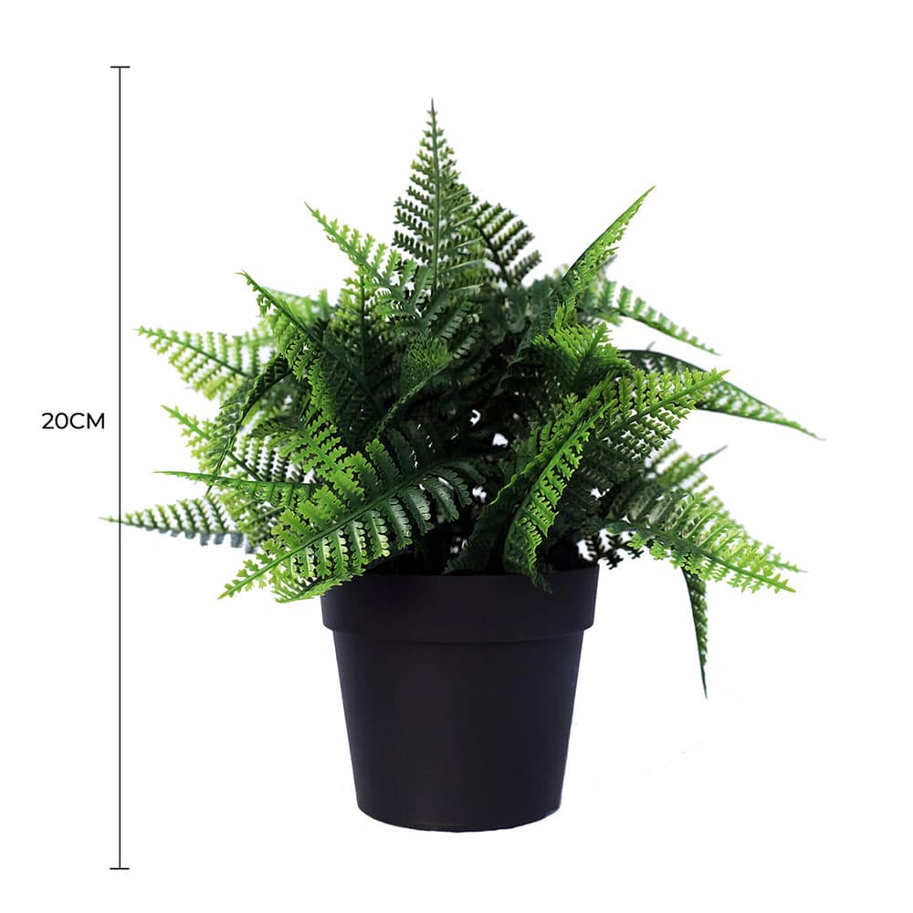 Small Potted Artificial Persa Boston Fern Plant 20cm - Natural Green - Home & Garden > Artificial Plants > Artificial Trees - Rivercity House & Home Co. (ABN 18 642 972 209) - Affordable Modern Furniture Australia