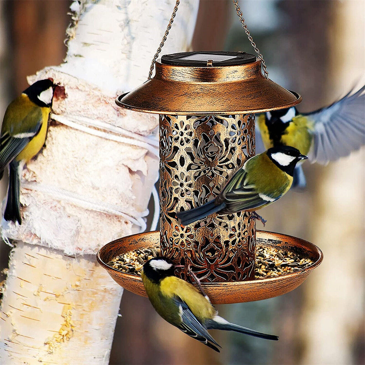 Solar Bird Seed Feeder Hanging Outdoor Garden with Solar LED Light - Home & Garden > Garden Tools > Gardening Tools - Rivercity House & Home Co. (ABN 18 642 972 209) - Affordable Modern Furniture Australia