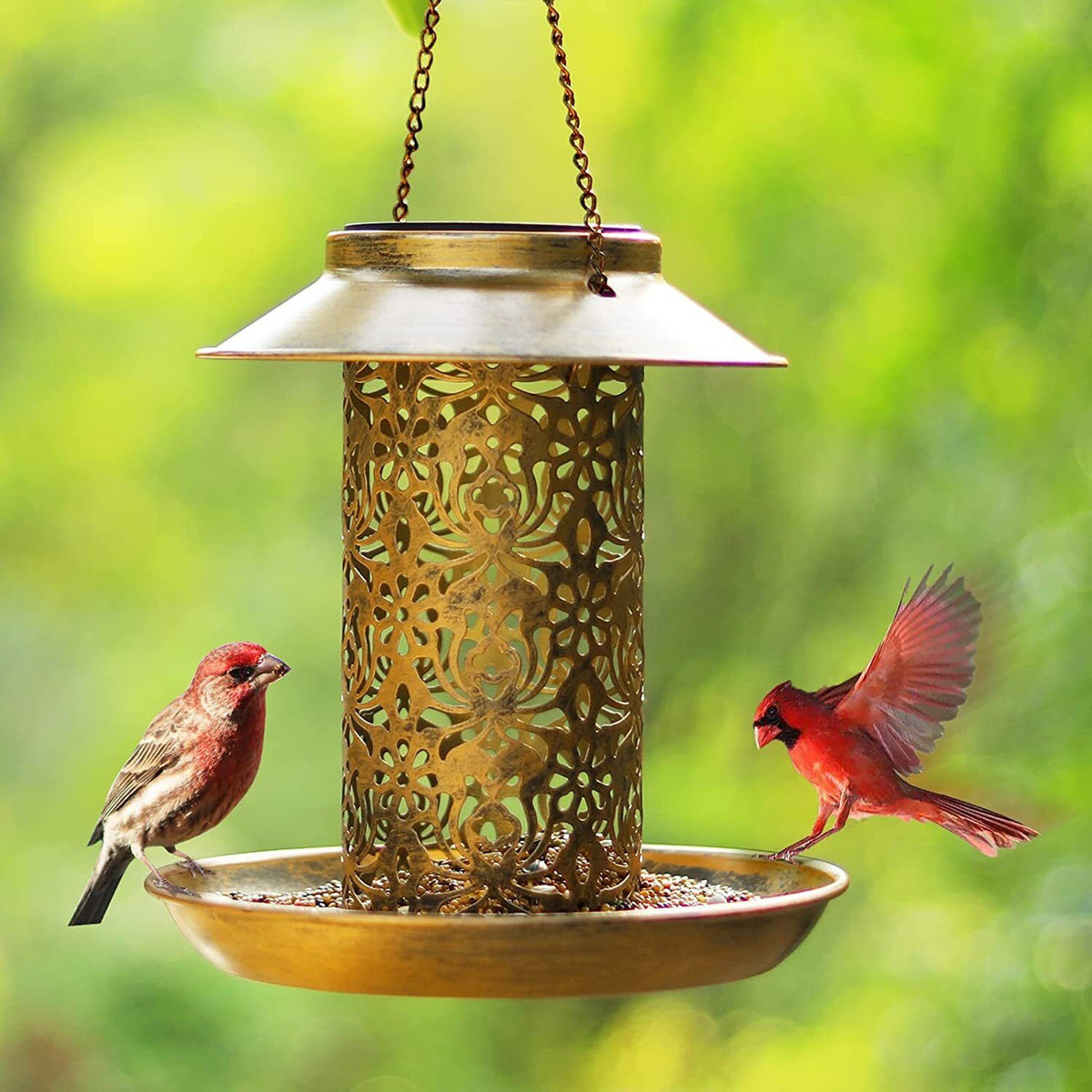 Solar Bird Seed Feeder Hanging Outdoor Garden with Solar LED Light - Home & Garden > Garden Tools > Gardening Tools - Rivercity House & Home Co. (ABN 18 642 972 209) - Affordable Modern Furniture Australia