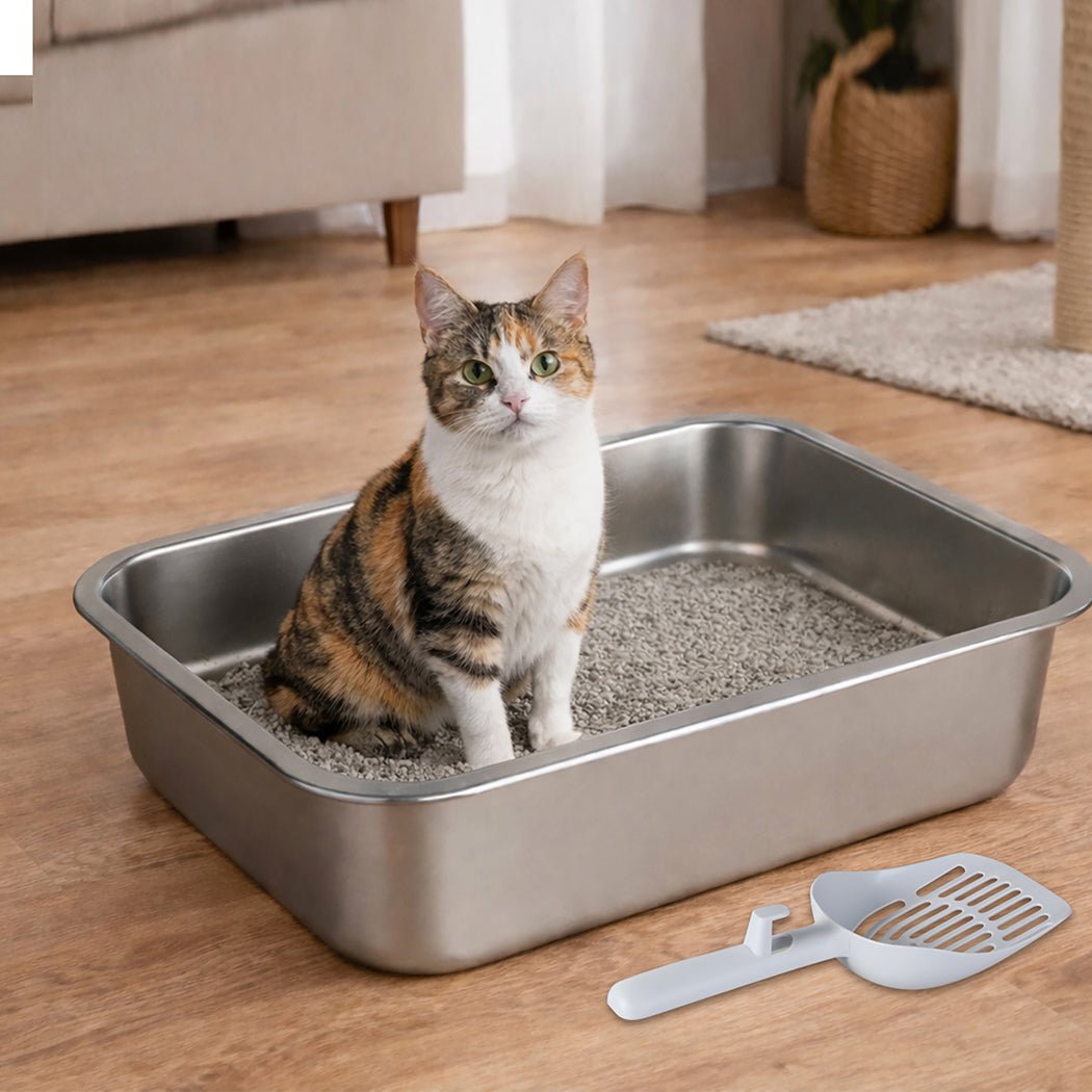 Stainless Steel Cat Litter Box 10cm Height Easy Entry Small Animals - Grey - Rivercity House & Home Co. (ABN 18 642 972 209) - Affordable Modern Furniture Australia