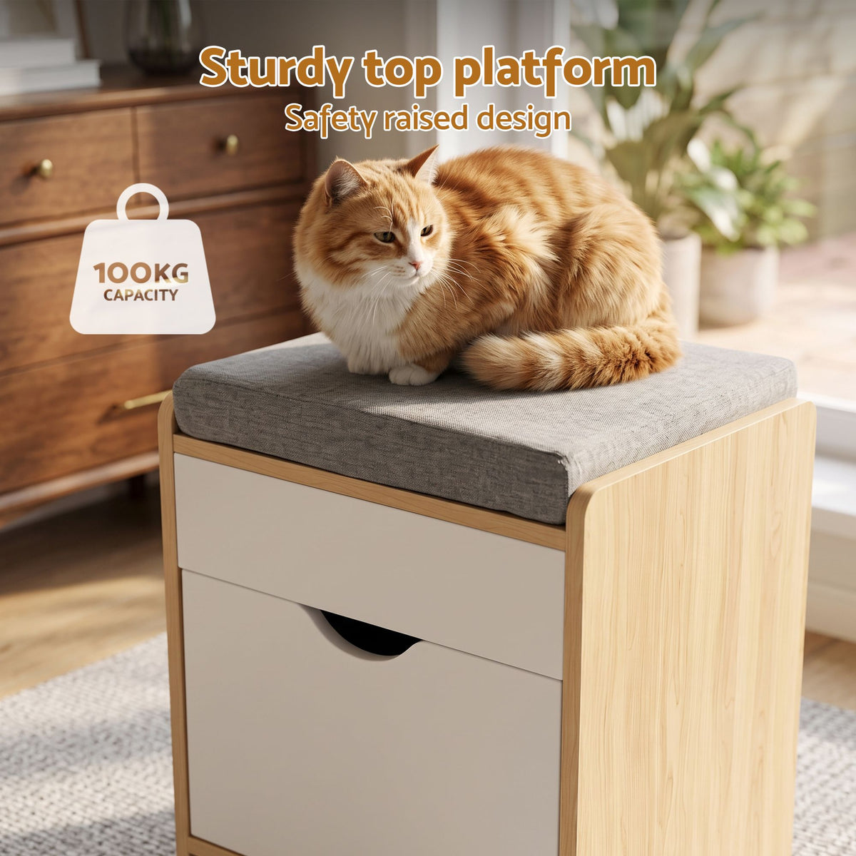 Storage Ottoman with Drawer 100kg Capacity Footrest Cushion - Pine - Furniture > Living Room > Ottomans & Footstools - Rivercity House & Home Co. (ABN 18 642 972 209) - Affordable Modern Furniture Australia