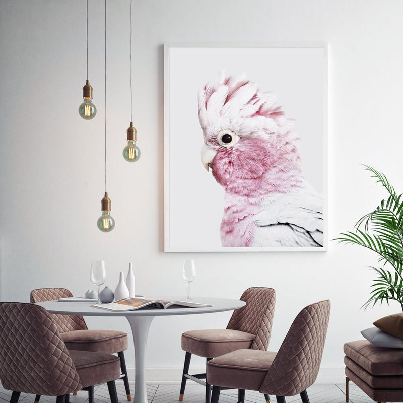 Wall Art 40cmx60cm Pink Galah White Frame Canvas - Home & Garden > Wall Art - Rivercity House & Home Co. (ABN 18 642 972 209) - Affordable Modern Furniture Australia