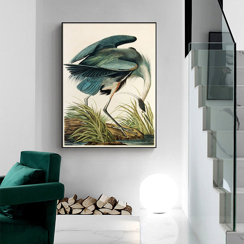 Wall Art 50cmx70cm Great Blue Heron By John James Audubon Black Frame Canvas - Home & Garden > Wall Art - Rivercity House & Home Co. (ABN 18 642 972 209) - Affordable Modern Furniture Australia