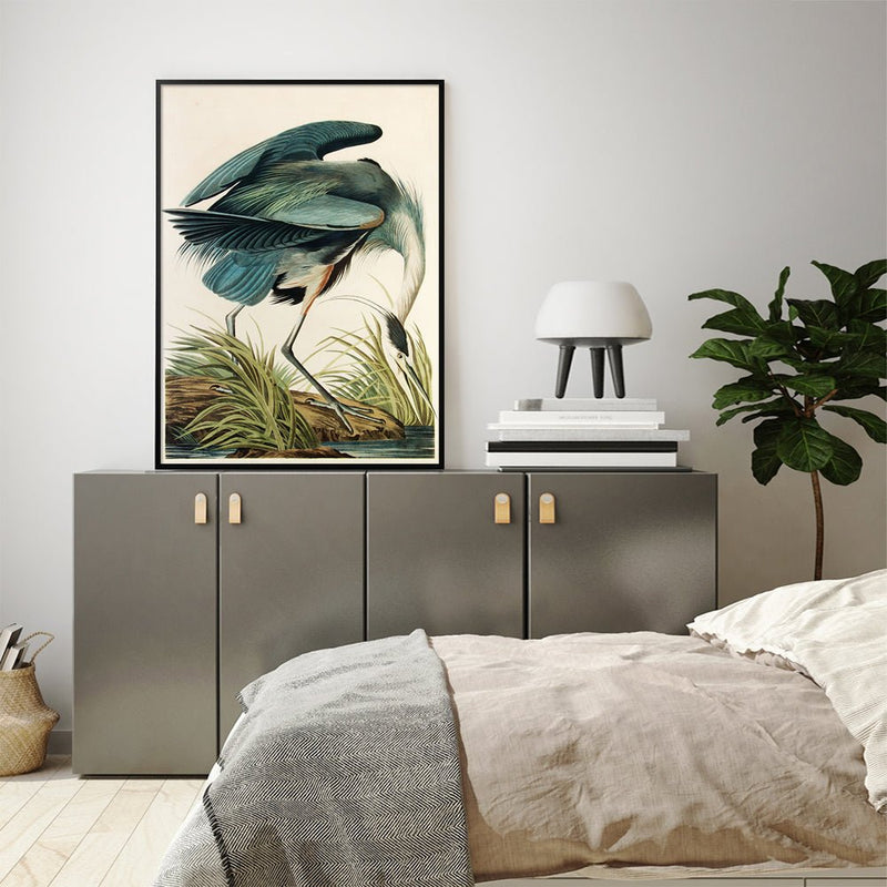 Wall Art 50cmx70cm Great Blue Heron By John James Audubon Black Frame Canvas - Home & Garden > Wall Art - Rivercity House & Home Co. (ABN 18 642 972 209) - Affordable Modern Furniture Australia