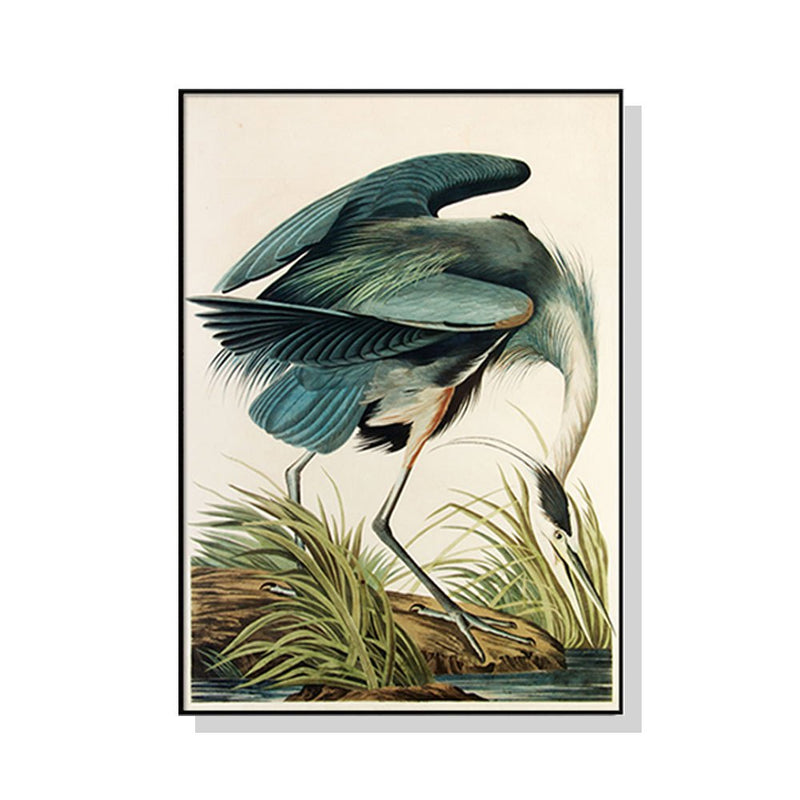 Wall Art 50cmx70cm Great Blue Heron By John James Audubon Black Frame Canvas - Home & Garden > Wall Art - Rivercity House & Home Co. (ABN 18 642 972 209) - Affordable Modern Furniture Australia