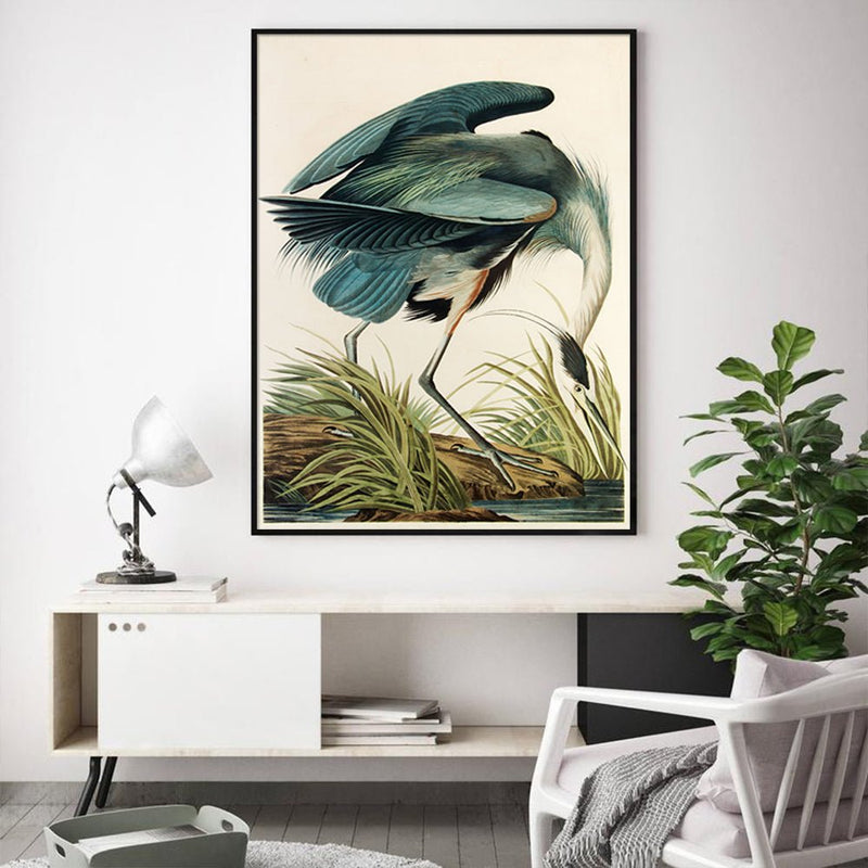 Wall Art 50cmx70cm Great Blue Heron By John James Audubon Black Frame Canvas - Home & Garden > Wall Art - Rivercity House & Home Co. (ABN 18 642 972 209) - Affordable Modern Furniture Australia