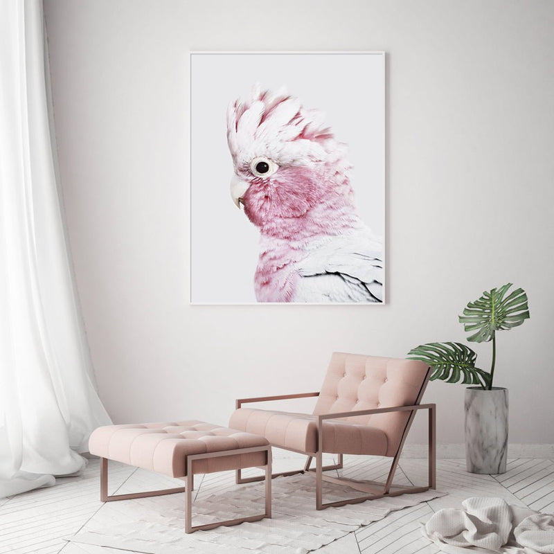 Wall Art 50cmx70cm Pink Galah White Frame Canvas - Home & Garden > Wall Art - Rivercity House & Home Co. (ABN 18 642 972 209) - Affordable Modern Furniture Australia