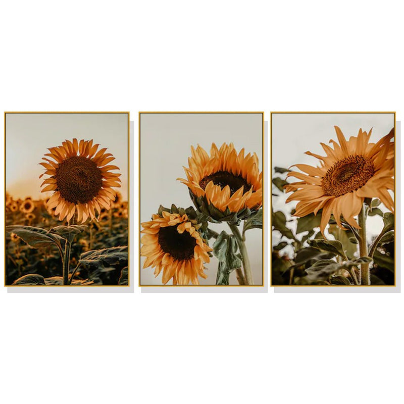 Wall Art 50cmx70cm Sunflower 3 Sets Gold Frame Canvas - Home & Garden > Wall Art - Rivercity House & Home Co. (ABN 18 642 972 209) - Affordable Modern Furniture Australia