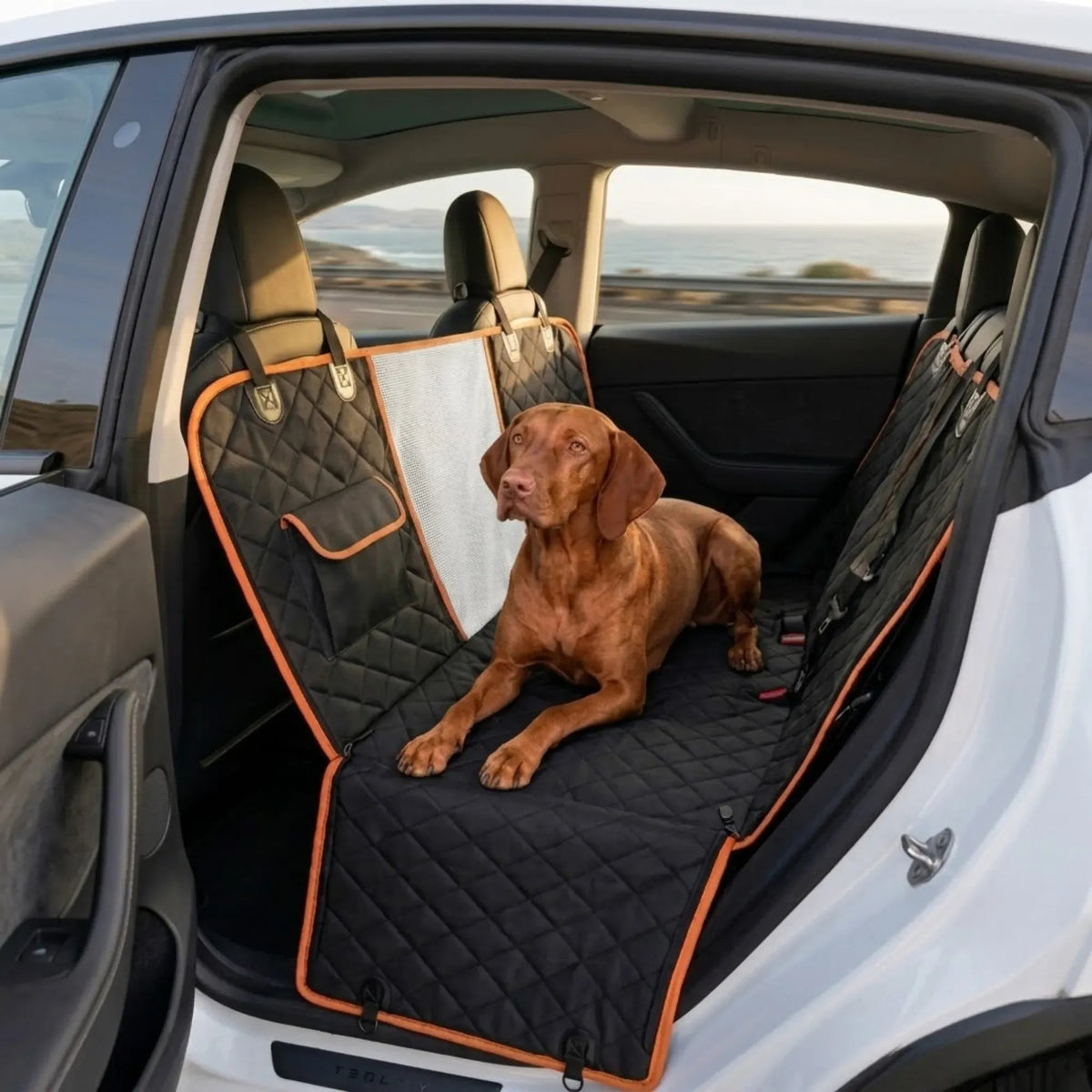 Waterproof Dog Car Seat Cover Hammock with Mesh Window - Black Nylon - Pet Care > Cat Supplies > Cat Furniture - Rivercity House & Home Co. (ABN 18 642 972 209) - Affordable Modern Furniture Australia