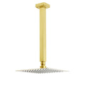 8" Brushed Gold Square Rain Shower Head with 300mm Brass Ceiling Dropper Arm Set - Brushed Gold