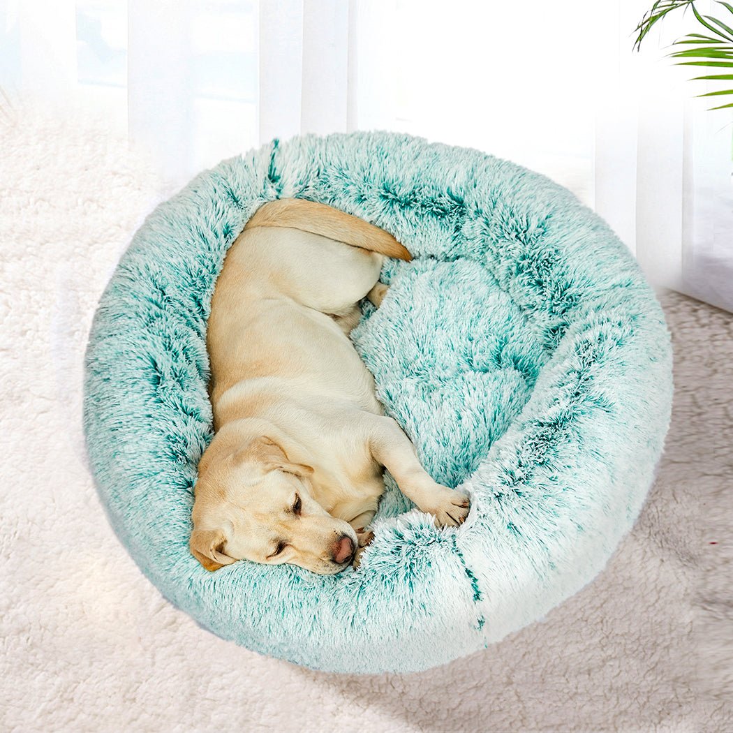 XXL Donut - Shaped Soft Warm Dog Cat Kennel Bed with Raised Rim - Teal - Rivercity House & Home Co. (ABN 18 642 972 209) - Affordable Modern Furniture Australia
