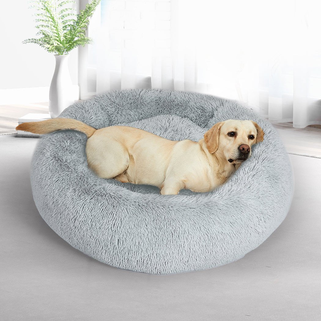 XXXL Dog Bed Mattress with Raised Rim - Grey - Rivercity House & Home Co. (ABN 18 642 972 209) - Affordable Modern Furniture Australia