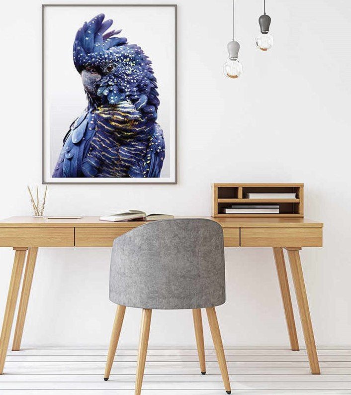 60cmx90cm Black Cockatoo A Black Frame Canvas Wall Art - Home & Garden > Wall Art - Rivercity House & Home Co. (ABN 18 642 972 209) - Affordable Modern Furniture Australia