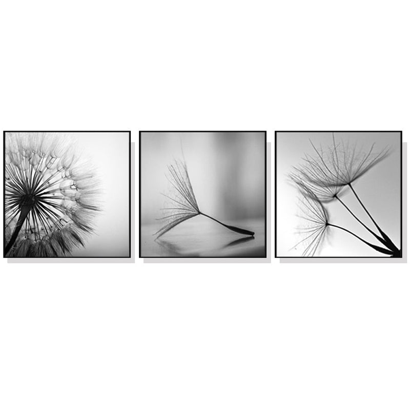 70cmx70cm Botanical dandelions 3 Sets Black Frame Canvas Wall Art - Home & Garden > Wall Art - Rivercity House & Home Co. (ABN 18 642 972 209) - Affordable Modern Furniture Australia