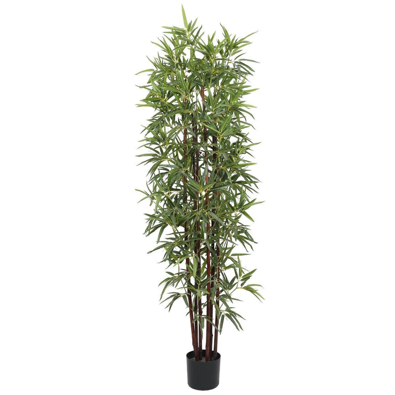 Artificial Bamboo Plant Dark Trunk (Potted) 180cm - Rivercity House & Home Co. (ABN 18 642 972 209) - Affordable Modern Furniture Australia