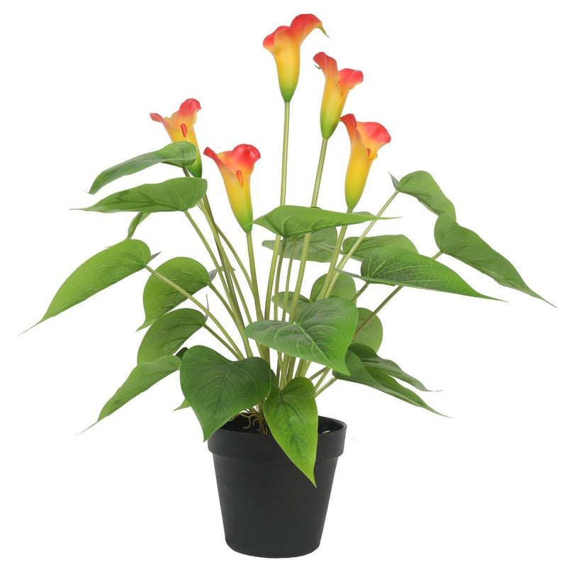 Artificial Flowering White & Orange Peace Lily / Calla Lily Plant 50cm - Rivercity House & Home Co. (ABN 18 642 972 209) - Affordable Modern Furniture Australia